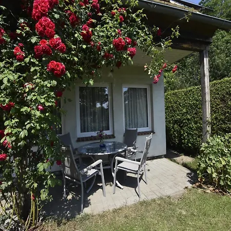Tasteful In With Terrace Holiday home *