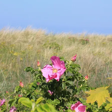 In Der Naehe Der Ostsee *