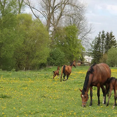 In Der Naehe Der Ostsee Neubukow