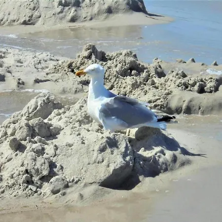 Hébergement de vacances In Der Naehe Der Ostsee *