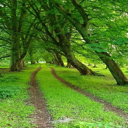 In Der Naehe Der Ostsee *