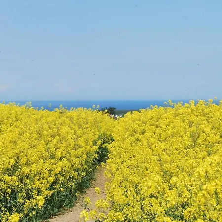 Hébergement de vacances In Der Naehe Der Ostsee *