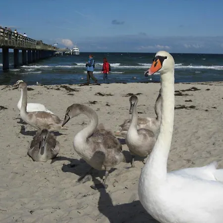In Der Naehe Der Ostsee Prázdninový dům