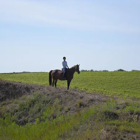 펜션 In Der Naehe Der Ostsee