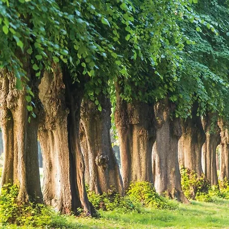 In Der Naehe Der Ostsee *