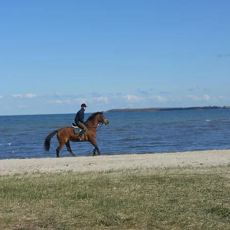 In Der Naehe Der Ostsee