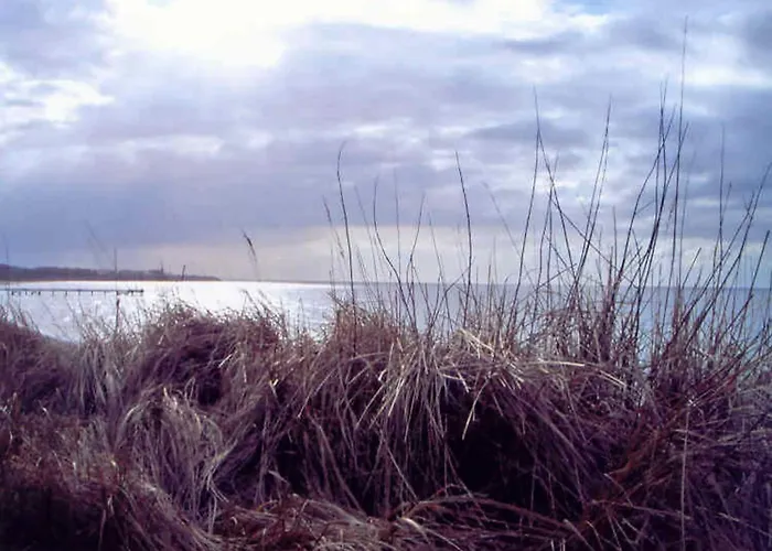 別荘 In Der Naehe Der Ostsee