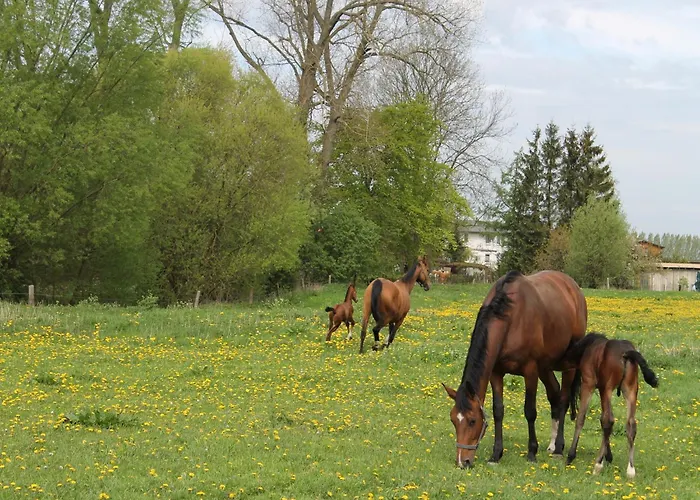 別荘 In Der Naehe Der Ostsee *