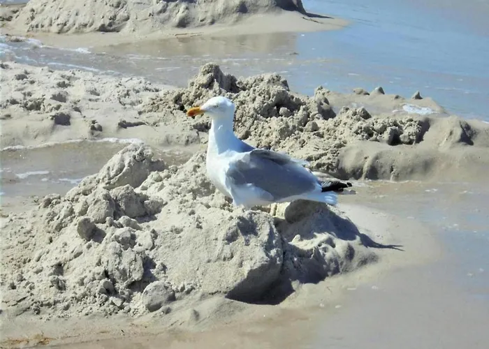 別荘 In Der Naehe Der Ostsee *