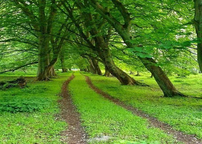 In Der Naehe Der Ostsee *