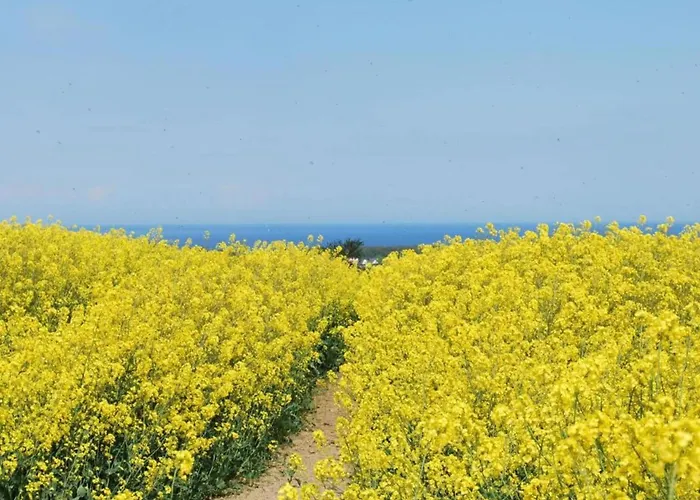 別荘 In Der Naehe Der Ostsee *