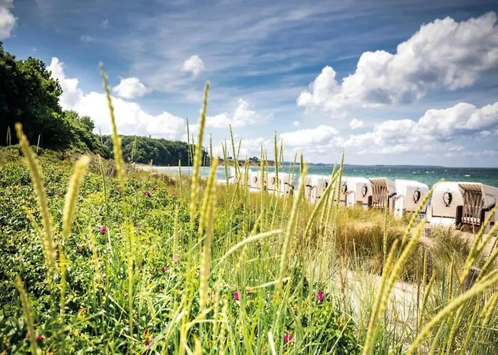 In Der Naehe Der Ostsee * Neubukow