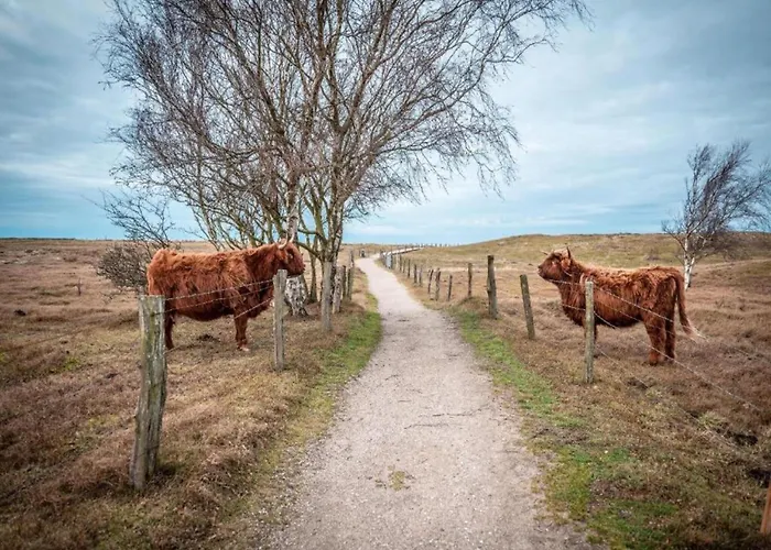 In Der Naehe Der Ostsee *