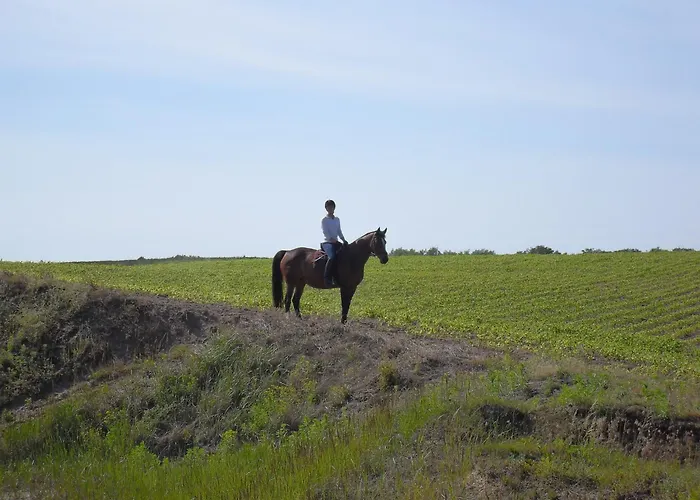 別荘 In Der Naehe Der Ostsee