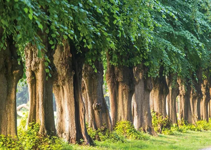 In Der Naehe Der Ostsee *